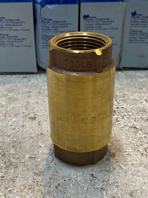 6 Quantity of BII 1" Check Valves 17YBCV100 (6 Quantity)