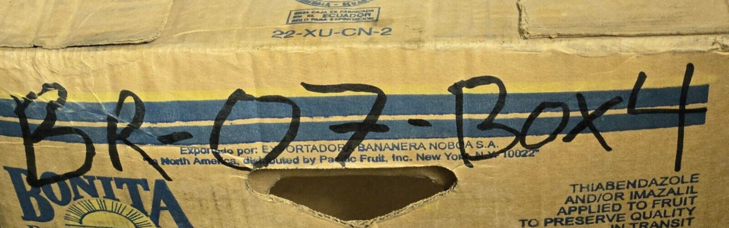 NTN Mounted Ball Bearing SBX05A39C4 J3 | PFL-205 Mount | 22.9mm Hex Bore
