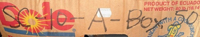 Navistar International Engine Radiator Coolant Hose 1689941C2, 34294