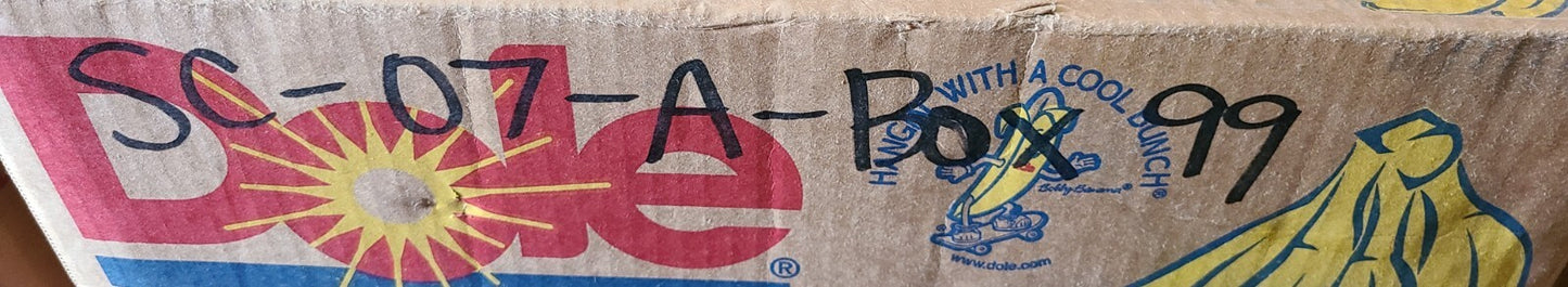 LSB Ball Pillow Block Bearing AK207 | HC207-20