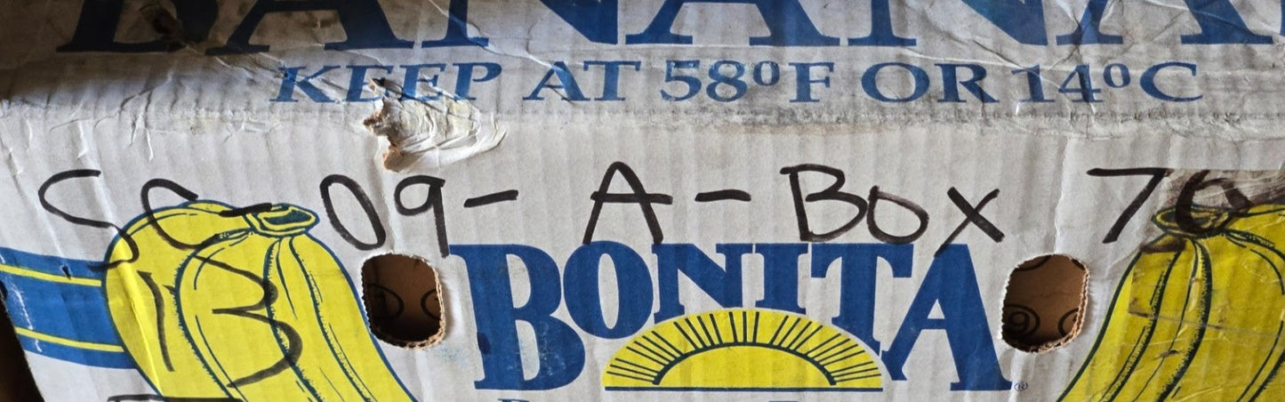 Aetna Thrust Bearing E-35 | 100.8 mm OD x 66.8 mm Bore x 20.51 mm Thick