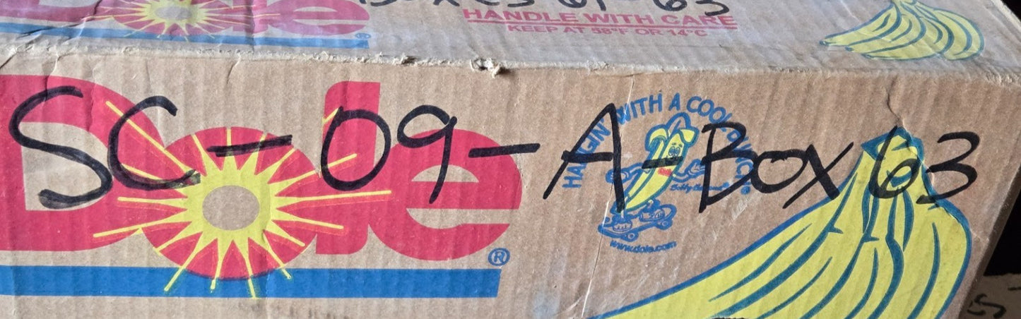 3 Quantity of Door Mount Kick Down Door Stops with Rubber Bumpers | 5 in (3 Qty)