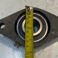 IPTCI 2-Bolt Flange FL207 w/ Insert Bearing UC207-20 | 31mm Bore